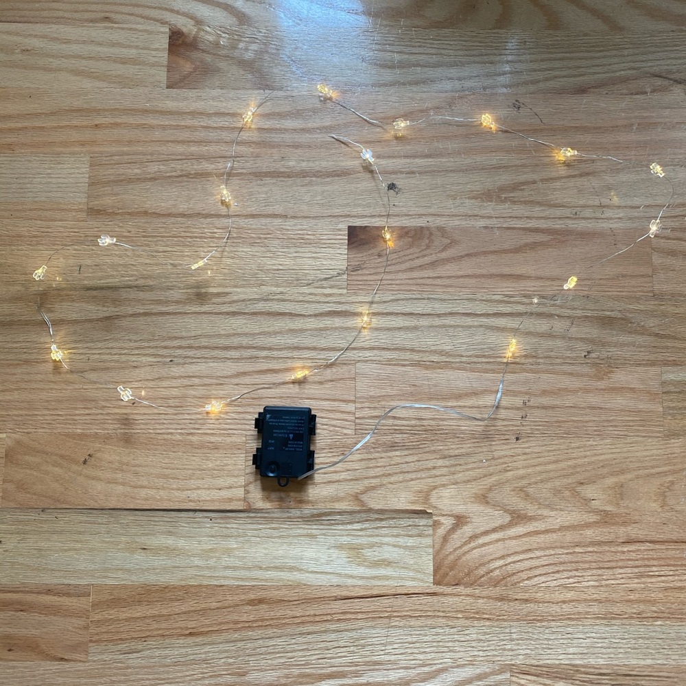 Battery Operated Cactus String Lights